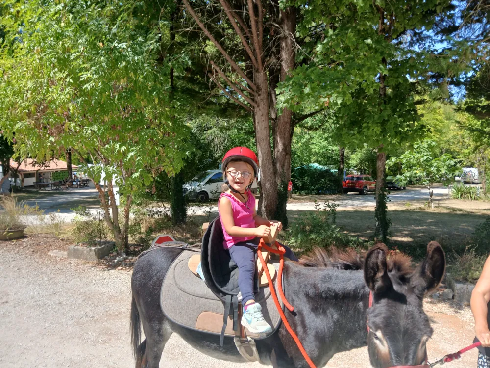 Camping des Tourbières