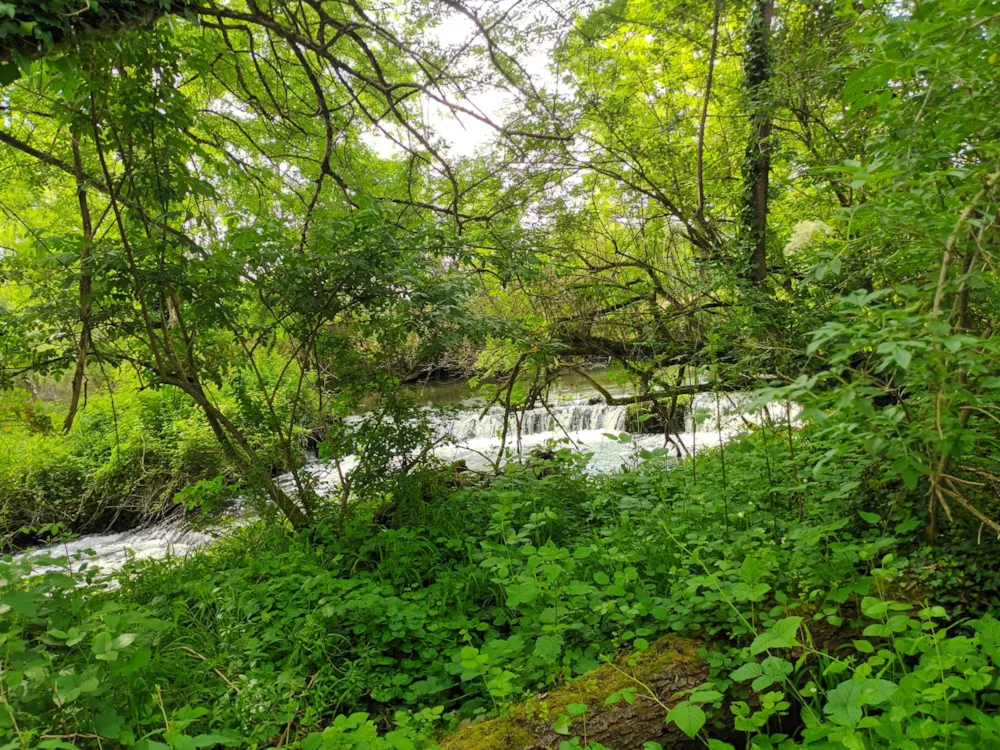 Camping des Tourbières