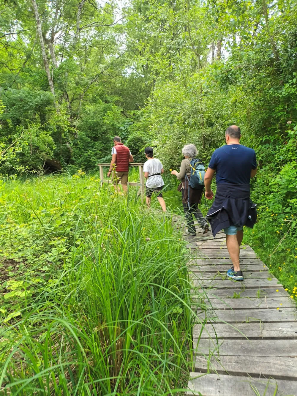 Camping des Tourbières