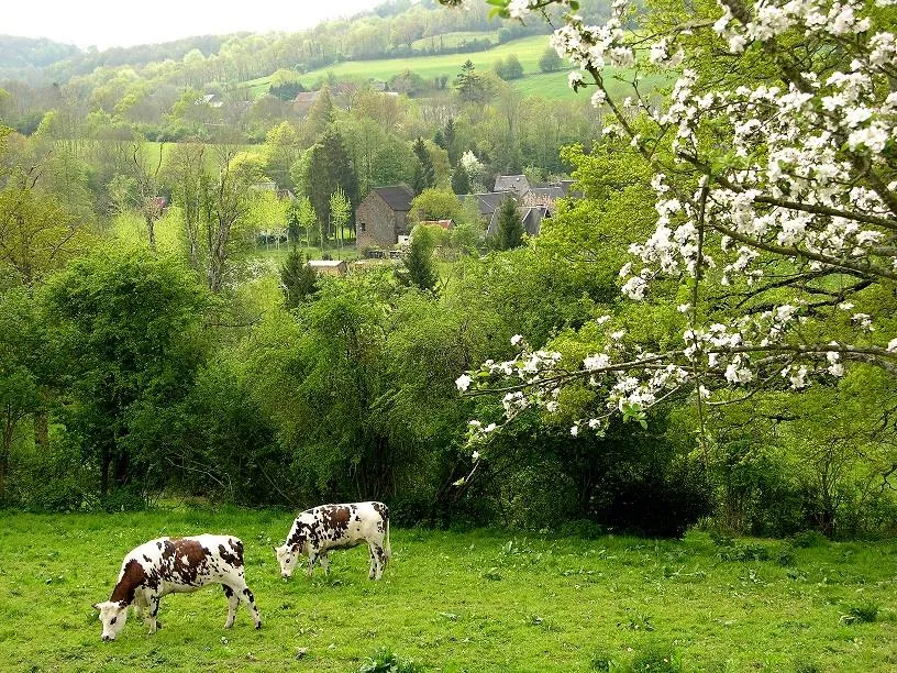 CAMPING DE LA ROUVRE