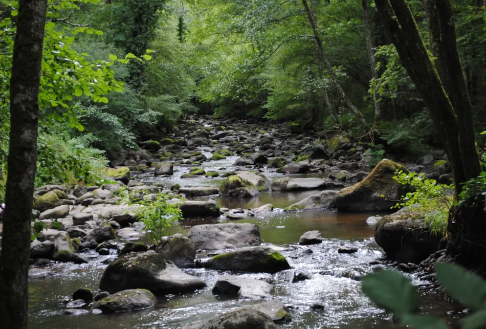 CAMPING DE LA ROUVRE
