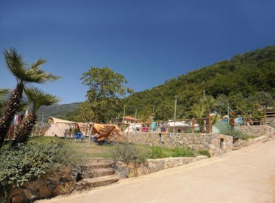 YELLOW PITCH FOR SMALL AND MEDIUM SIZE TENTS — 2