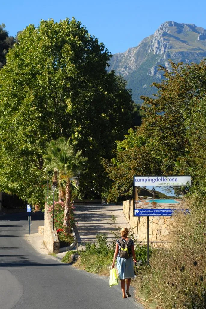 Emplacement Jaune Pour Petites Tentes Et Tentes Moyennes