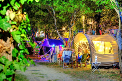 GREEN PITCH FOR TENT/TRAILER TENT OR CARAVAN/CAMPER — 5