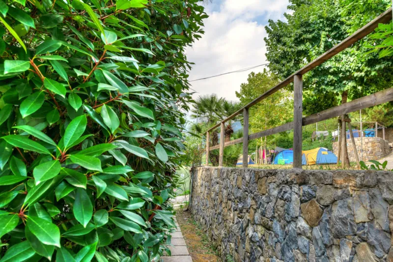 Emplacement Jaune Pour Petites Tentes Et Tentes Moyennes