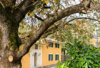 Location - Maison De Vacances Rosa - Camping Delle Rose
