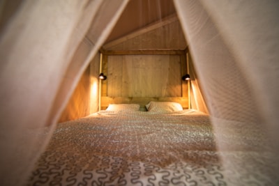SAFARI LODGE — 5
