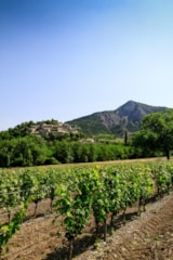 Foto #28 van Camping De La Clairette