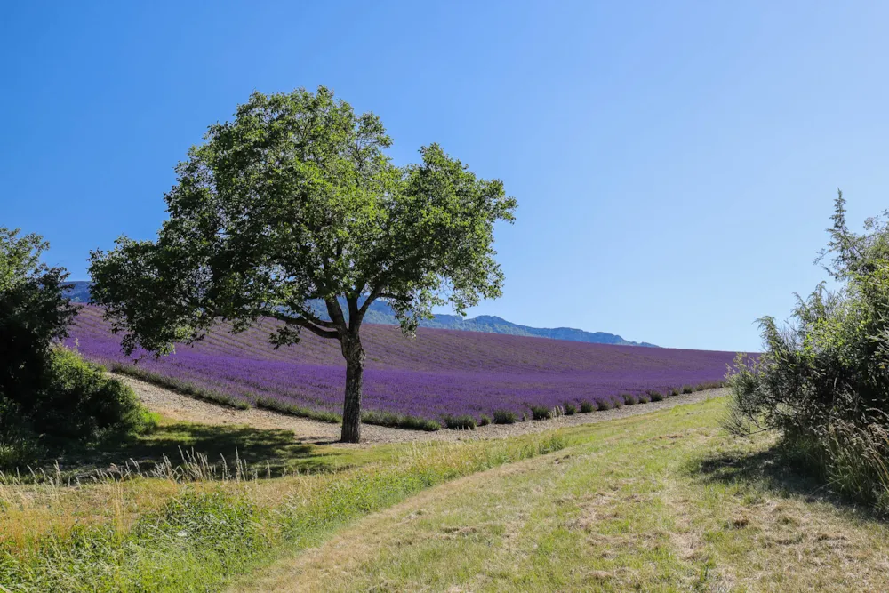 CAMPING DE LA CLAIRETTE