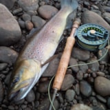 Foto #30 van Les Chalets Mirandol Dordogne PRL