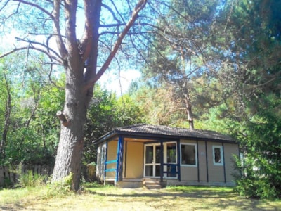 Spacious Bungalow chalet — 1