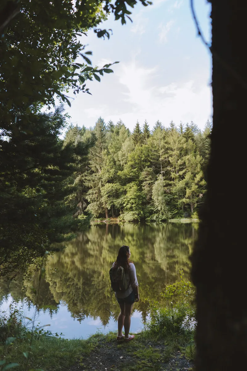 Camping Les Sapins de Correze