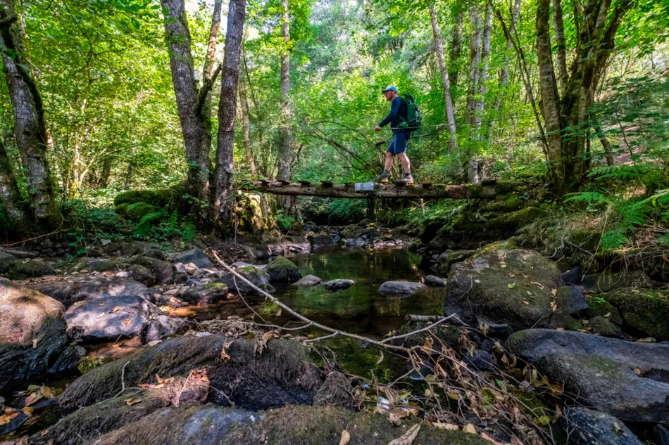 Camping Les Sapins de Correze