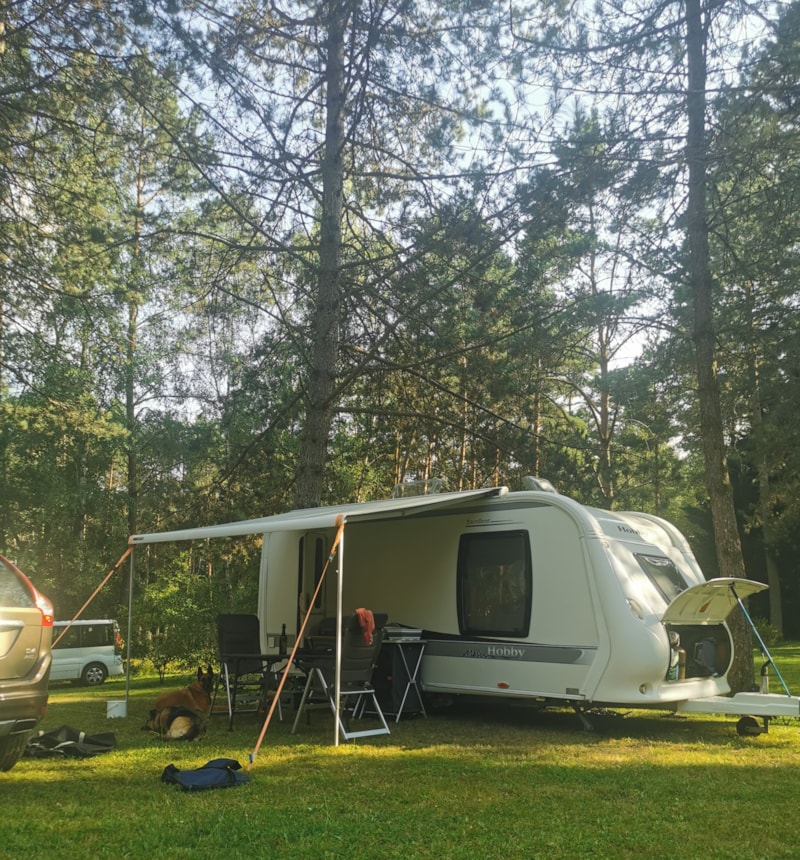 Emplacement Voiture-tente Ou Camping-car, Fourgons, Vans Ou Voiture-Caravane AVEC électricité