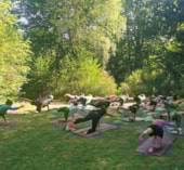 Camping Les Sapins de Correze