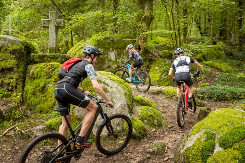 Camping Les Sapins de Correze