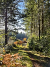 Camping Les Sapins de Correze