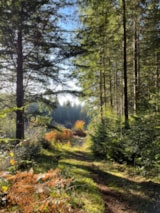 Foto #92 van Camping Les Sapins de Correze