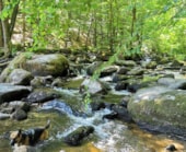 Camping Les Sapins de Correze