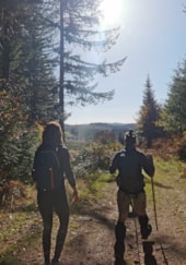 Camping Les Sapins de Correze