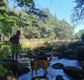 Camping Les Sapins de Correze