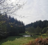 Camping Les Sapins de Correze