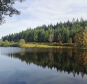 Camping Les Sapins de Correze