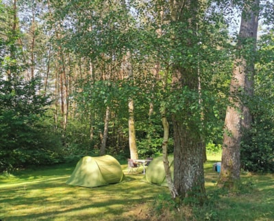 Hiker, cyclist or biker pitch with tent — 1