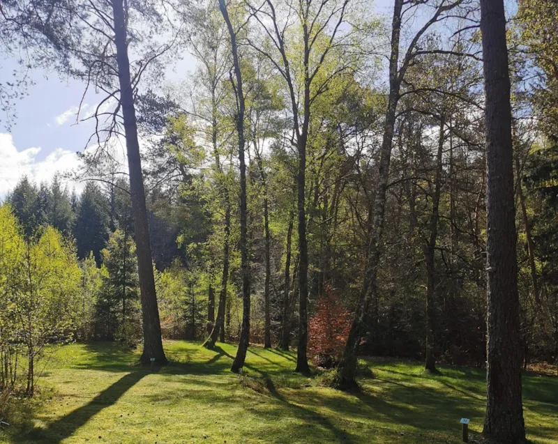 Emplacement Randonneur, Cycliste Ou Motard Avec Tente