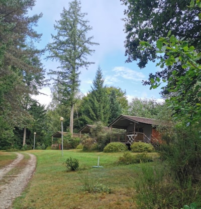 Wooden Bungalow chalet on stilts — 7