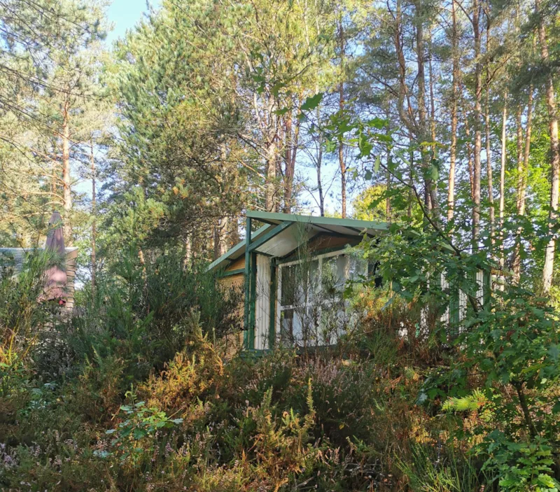 Chalet Bungalow Ouvert Sur L'extérieur