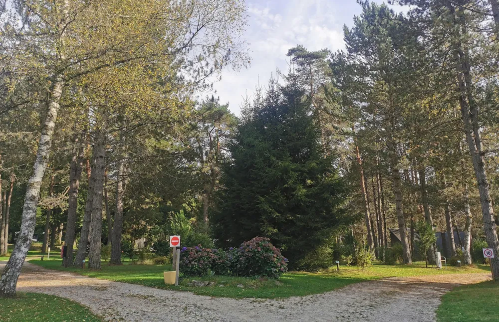 Camping Les Sapins de Correze