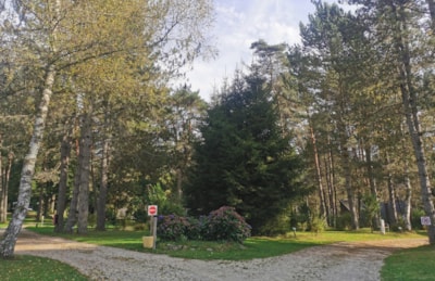 Camping Les Sapins de Correze