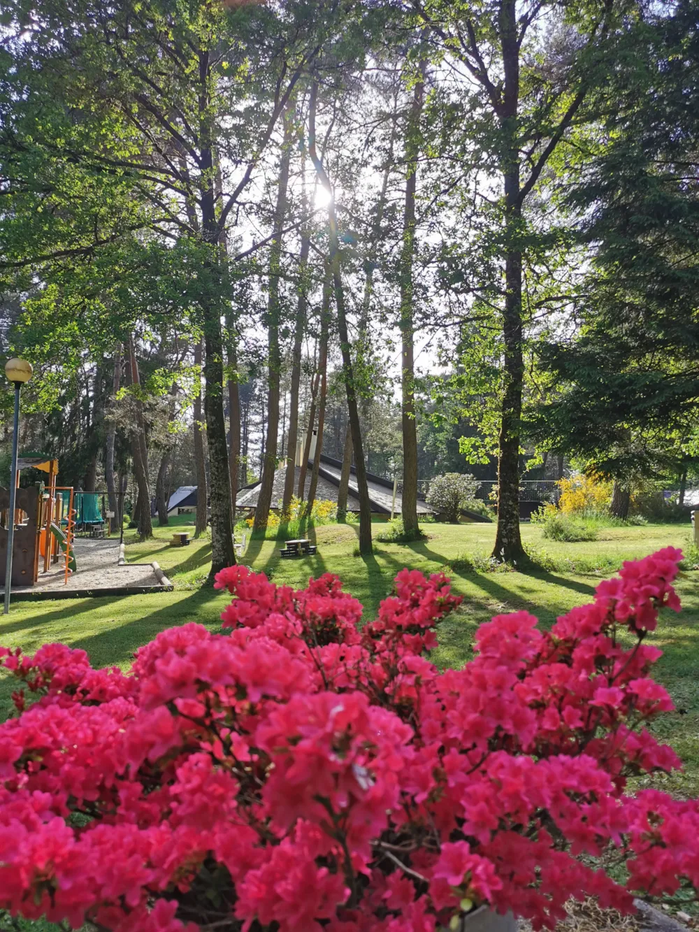 Camping Les Sapins de Correze