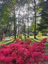 Foto #2 van Camping Les Sapins de Correze