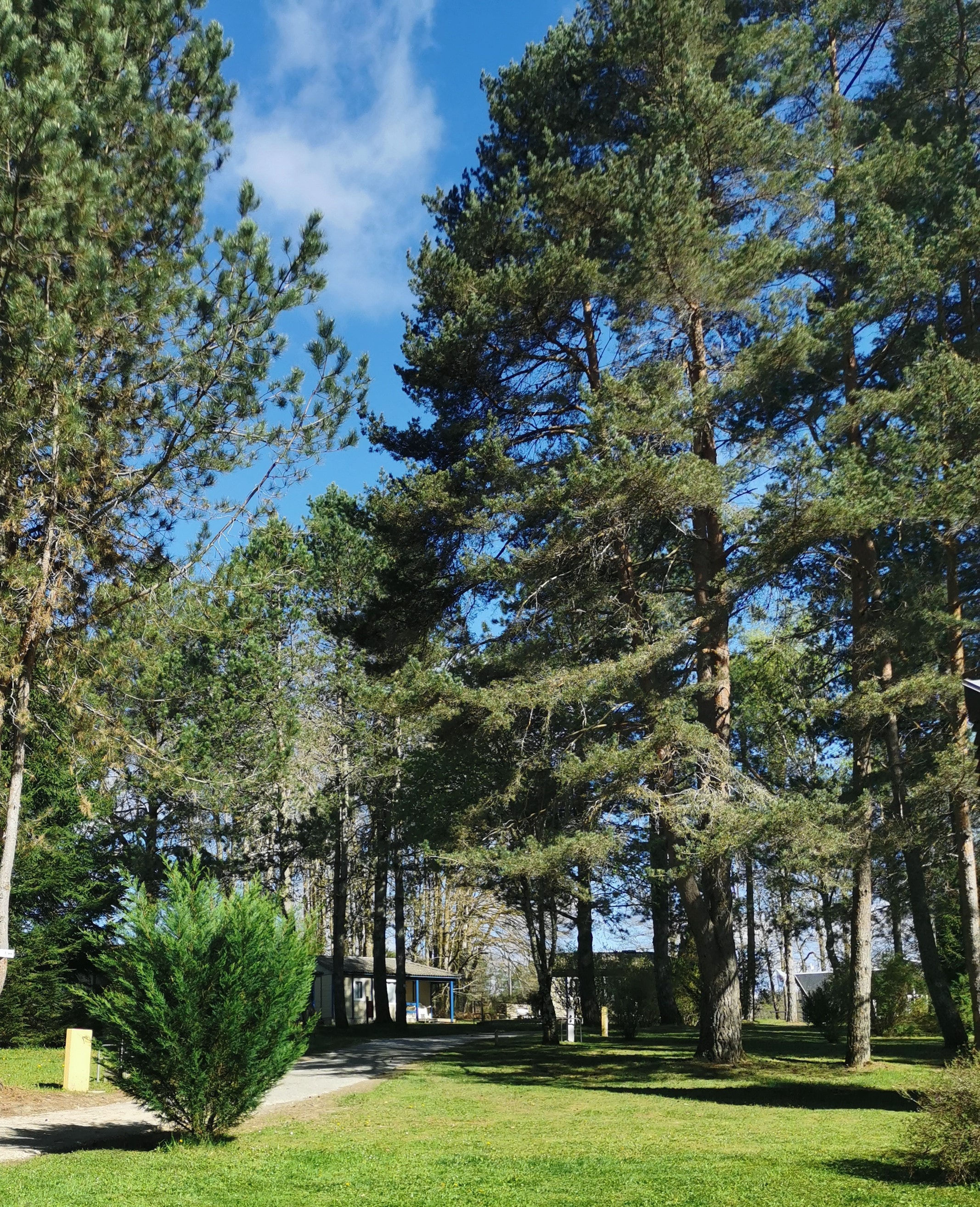 Camping Les Sapins de Correze — Photo 7