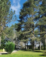 Foto #7 van Camping Les Sapins de Correze