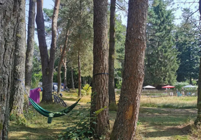 Camping Les Sapins de Correze - image n°1 - Camping Direct