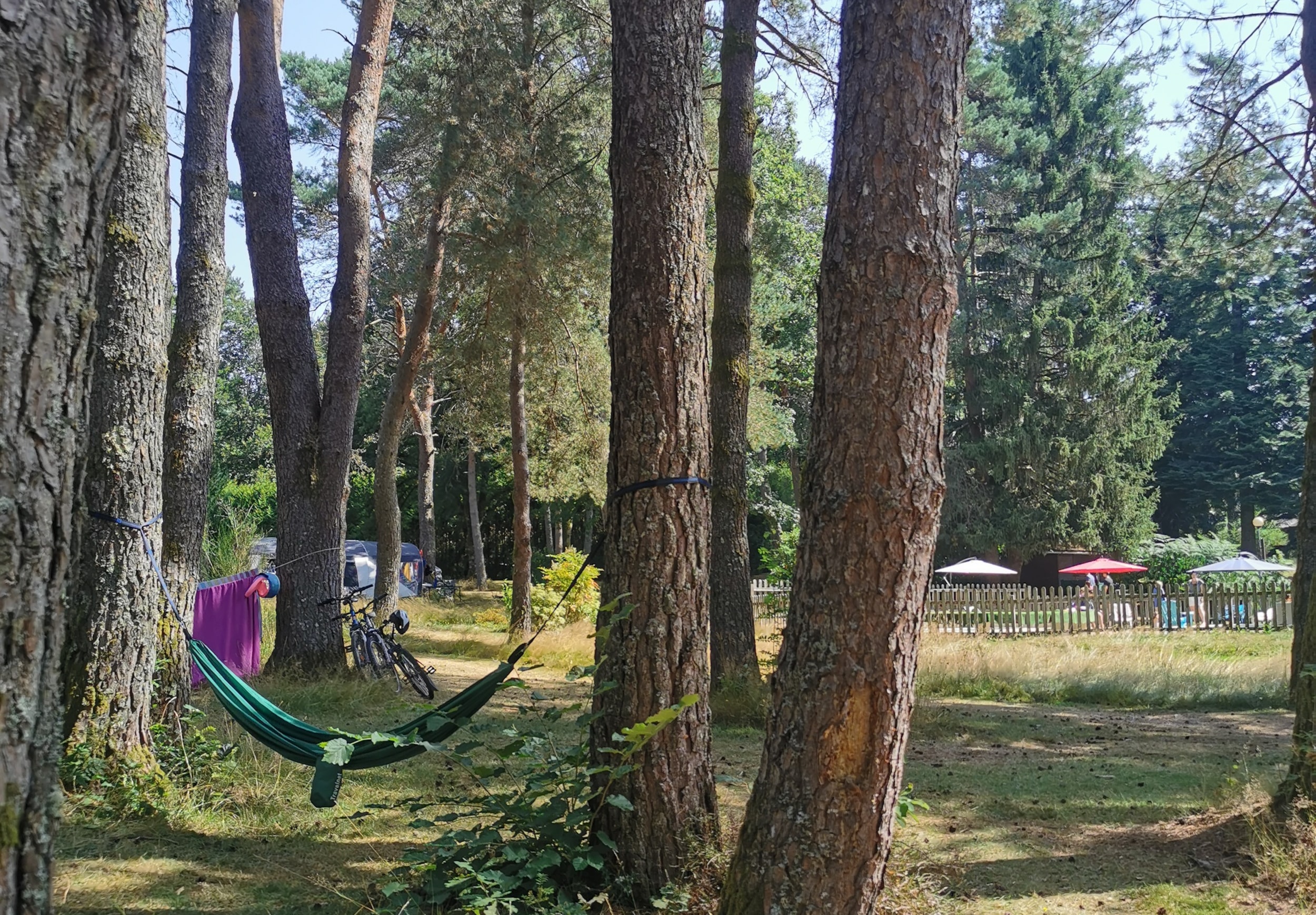 Camping Les Sapins de Correze — Photo 1