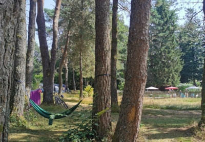 Camping Les Sapins de Correze