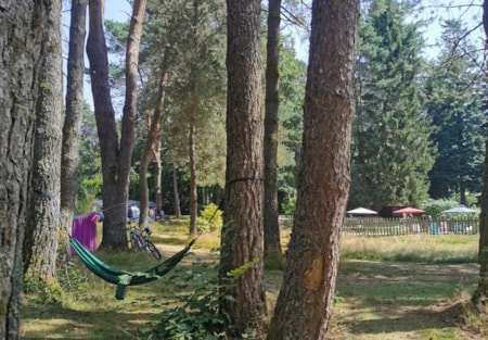 Camping Les Sapins de Correze