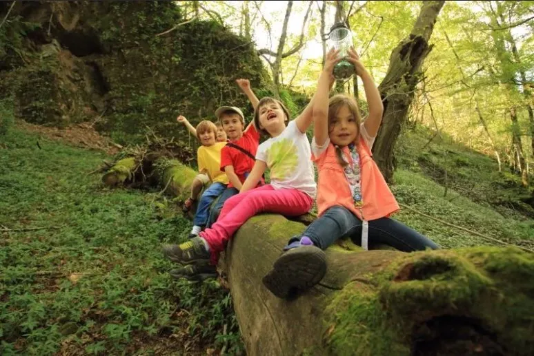 Camping Les Sapins de Correze