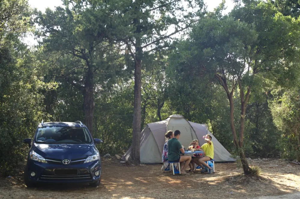 Solitudo Sunny Camping   - image n°1 - Camping2Be