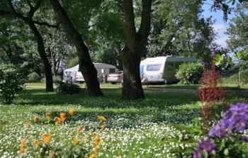 Stellplatz - Stellplatz Pauschale Confort Strom - Camping L'Isle Verte