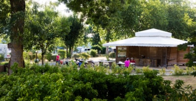 Camping L'Isle Verte