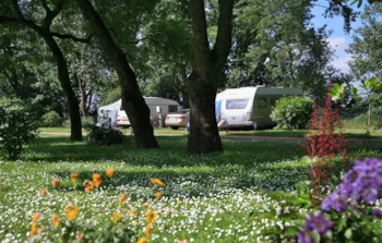 Stellplatz - Stellplatz Komfortpauschale 1 Tier, Strom Inbegriffen - Camping L'Isle Verte