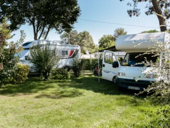 Stellplatz - Stellplatz Confort (Zelt, Wohnwagen, Wohnmobil / 1 Auto / Strom 6A) - Flower Camping Le Conleau