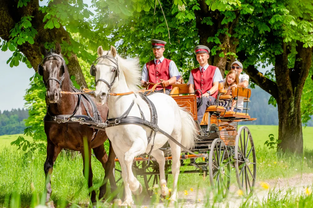 Camping Hirschegg