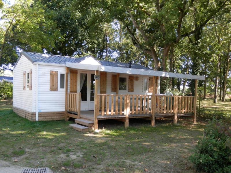 Confort Mobile-home 32m² 4/6 p. (3 bedrooms) + sheltered terrace