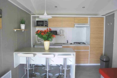 Premium Mobile-home 36m² 4/6 p. (2 bedrooms + 2 bathrooms) - half covered terrace